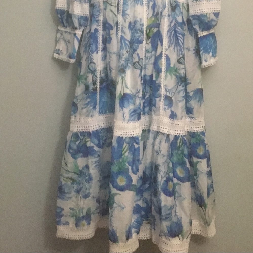 Dahlia Floral Lace-Trim Blue Maxi Dress - Picture 11 of 13